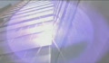 arcxpress